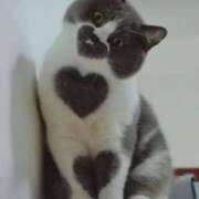 ヒメ日記 2025/05/29 10:03 投稿 はな 北九州人妻倶楽部（三十路、四十路、五十路）