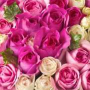 ヒメ日記 2025/06/02 10:05 投稿 はな 北九州人妻倶楽部（三十路、四十路、五十路）