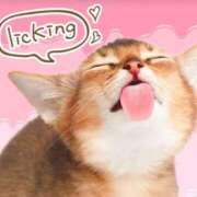 ヒメ日記 2025/06/09 18:01 投稿 はな 北九州人妻倶楽部（三十路、四十路、五十路）