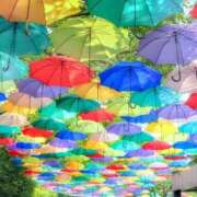 ヒメ日記 2025/06/11 10:40 投稿 はな 北九州人妻倶楽部（三十路、四十路、五十路）