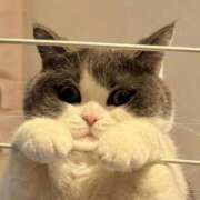 ヒメ日記 2025/06/13 10:03 投稿 はな 北九州人妻倶楽部（三十路、四十路、五十路）