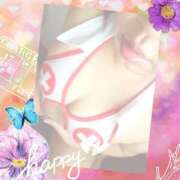 ヒメ日記 2025/06/15 11:02 投稿 はな 北九州人妻倶楽部（三十路、四十路、五十路）