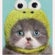 ヒメ日記 2025/06/19 10:06 投稿 はな 北九州人妻倶楽部（三十路、四十路、五十路）