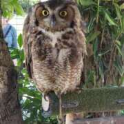 ヒメ日記 2025/06/23 10:07 投稿 はな 北九州人妻倶楽部（三十路、四十路、五十路）