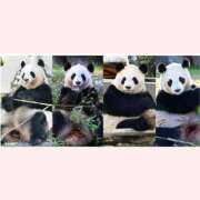 ヒメ日記 2025/06/27 13:33 投稿 はな 北九州人妻倶楽部（三十路、四十路、五十路）