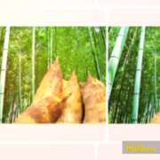 ヒメ日記 2025/06/30 13:33 投稿 はな 北九州人妻倶楽部（三十路、四十路、五十路）