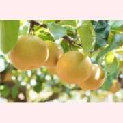 ヒメ日記 2025/07/04 10:09 投稿 はな 北九州人妻倶楽部（三十路、四十路、五十路）