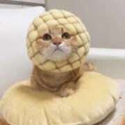 ヒメ日記 2025/07/06 07:06 投稿 はな 北九州人妻倶楽部（三十路、四十路、五十路）