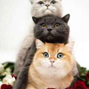 ヒメ日記 2025/07/12 08:02 投稿 はな 北九州人妻倶楽部（三十路、四十路、五十路）