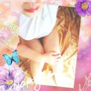 ヒメ日記 2025/07/19 11:34 投稿 はな 北九州人妻倶楽部（三十路、四十路、五十路）