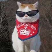 ヒメ日記 2025/07/28 10:06 投稿 はな 北九州人妻倶楽部（三十路、四十路、五十路）