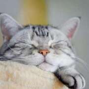 ヒメ日記 2025/08/03 00:04 投稿 はな 北九州人妻倶楽部（三十路、四十路、五十路）