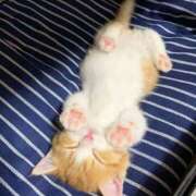 ヒメ日記 2025/08/12 00:06 投稿 はな 北九州人妻倶楽部（三十路、四十路、五十路）