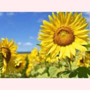 ヒメ日記 2025/08/13 10:02 投稿 はな 北九州人妻倶楽部（三十路、四十路、五十路）