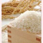 ヒメ日記 2025/08/18 10:02 投稿 はな 北九州人妻倶楽部（三十路、四十路、五十路）