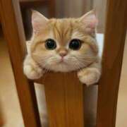 ヒメ日記 2025/08/22 10:05 投稿 はな 北九州人妻倶楽部（三十路、四十路、五十路）