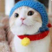 ヒメ日記 2025/08/28 10:03 投稿 はな 北九州人妻倶楽部（三十路、四十路、五十路）