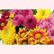 ヒメ日記 2025/09/09 10:05 投稿 はな 北九州人妻倶楽部（三十路、四十路、五十路）