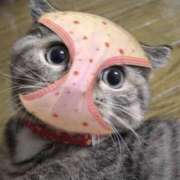 ヒメ日記 2025/09/11 10:07 投稿 はな 北九州人妻倶楽部（三十路、四十路、五十路）