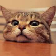 ヒメ日記 2025/09/12 10:03 投稿 はな 北九州人妻倶楽部（三十路、四十路、五十路）