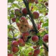 ヒメ日記 2025/09/20 10:04 投稿 はな 北九州人妻倶楽部（三十路、四十路、五十路）