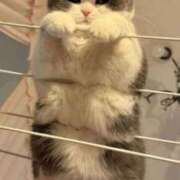 ヒメ日記 2025/09/22 10:06 投稿 はな 北九州人妻倶楽部（三十路、四十路、五十路）