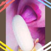 ヒメ日記 2025/09/22 18:17 投稿 はな 北九州人妻倶楽部（三十路、四十路、五十路）