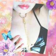 ヒメ日記 2025/09/26 17:52 投稿 はな 北九州人妻倶楽部（三十路、四十路、五十路）