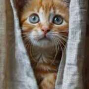 ヒメ日記 2025/10/04 10:06 投稿 はな 北九州人妻倶楽部（三十路、四十路、五十路）