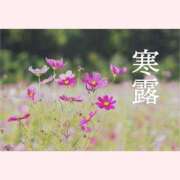 ヒメ日記 2025/10/08 10:07 投稿 はな 北九州人妻倶楽部（三十路、四十路、五十路）