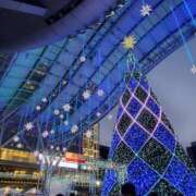 ヒメ日記 2025/11/04 16:39 投稿 はな 北九州人妻倶楽部（三十路、四十路、五十路）