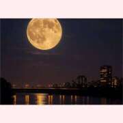 ヒメ日記 2025/11/05 18:02 投稿 はな 北九州人妻倶楽部（三十路、四十路、五十路）