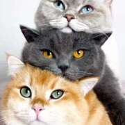 ヒメ日記 2025/11/06 10:08 投稿 はな 北九州人妻倶楽部（三十路、四十路、五十路）