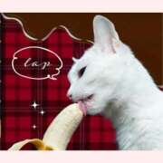 ヒメ日記 2025/11/06 18:35 投稿 はな 北九州人妻倶楽部（三十路、四十路、五十路）