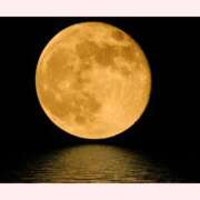 ヒメ日記 2025/11/06 20:07 投稿 はな 北九州人妻倶楽部（三十路、四十路、五十路）