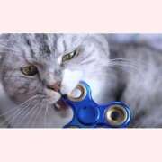 ヒメ日記 2025/11/08 10:08 投稿 はな 北九州人妻倶楽部（三十路、四十路、五十路）