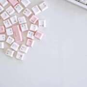 ヒメ日記 2025/11/17 22:35 投稿 はな 北九州人妻倶楽部（三十路、四十路、五十路）