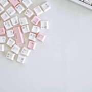 ヒメ日記 2025/11/29 17:35 投稿 はな 北九州人妻倶楽部（三十路、四十路、五十路）