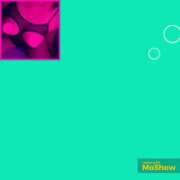 ヒメ日記 2025/12/01 16:33 投稿 はな 北九州人妻倶楽部(三十路、四十路、五十路)