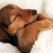 ヒメ日記 2025/12/04 00:07 投稿 はな 北九州人妻倶楽部（三十路、四十路、五十路）