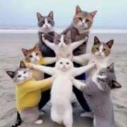 ヒメ日記 2025/12/04 07:48 投稿 はな 北九州人妻倶楽部（三十路、四十路、五十路）