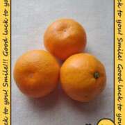 ヒメ日記 2025/12/05 09:31 投稿 はな 北九州人妻倶楽部（三十路、四十路、五十路）