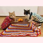 ヒメ日記 2025/12/14 07:49 投稿 はな 北九州人妻倶楽部（三十路、四十路、五十路）