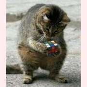 ヒメ日記 2025/12/15 09:32 投稿 はな 北九州人妻倶楽部（三十路、四十路、五十路）