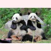 ヒメ日記 2025/12/16 07:47 投稿 はな 北九州人妻倶楽部（三十路、四十路、五十路）