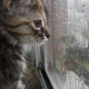 ヒメ日記 2025/12/17 10:09 投稿 はな 北九州人妻倶楽部（三十路、四十路、五十路）