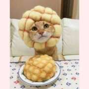 ヒメ日記 2025/12/19 09:33 投稿 はな 北九州人妻倶楽部（三十路、四十路、五十路）