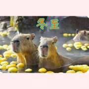 ヒメ日記 2025/12/22 10:10 投稿 はな 北九州人妻倶楽部（三十路、四十路、五十路）