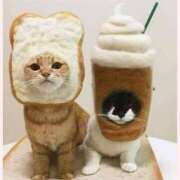 ヒメ日記 2025/12/29 08:34 投稿 はな 北九州人妻倶楽部（三十路、四十路、五十路）