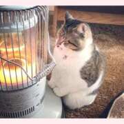 ヒメ日記 2026/01/08 07:49 投稿 はな 北九州人妻倶楽部（三十路、四十路、五十路）